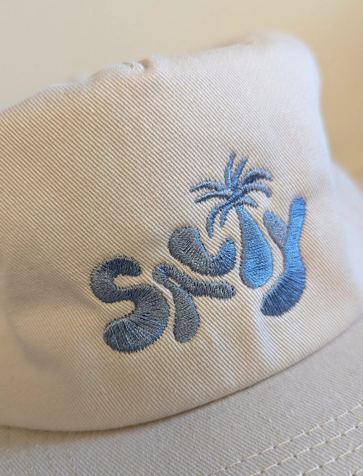 Embroidered Salty Cap